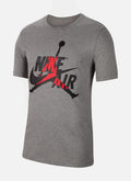Air Jordan Mens T-Shirt (Grey)