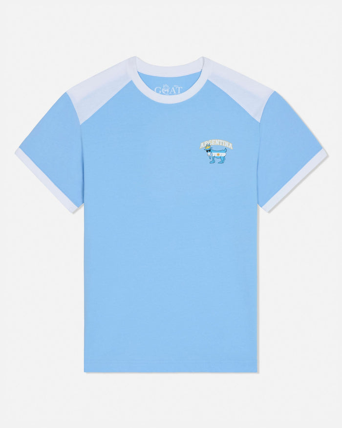 Light blue t-shirt with white and light blue sleeves on a white background