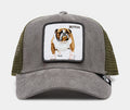 Butch Trucker Mens Hat (Grey/Green)
