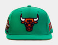 Chicago Bulls Desert Green Snapback Mens Hat (Green)