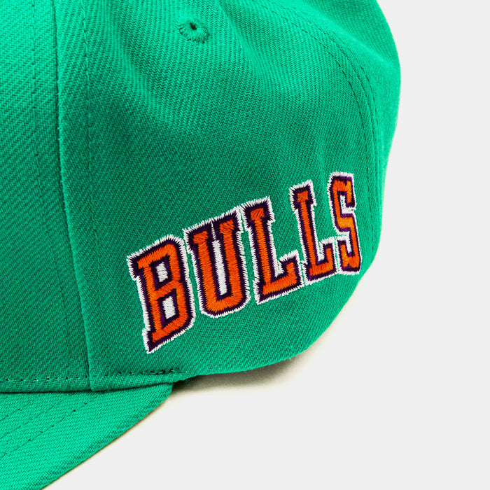 Chicago Bulls Desert Green Snapback Mens Hat (Green)