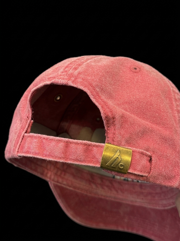 DigiPen Dragons "Dad Hat" in Vintage Red