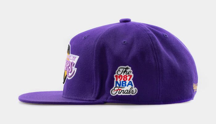 Los Angeles Lakers Fitted Hat Mens Hat (Purple)
