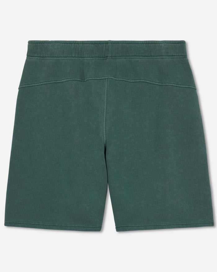 Back of alpine-colored men's sweat shorts#color_alpine