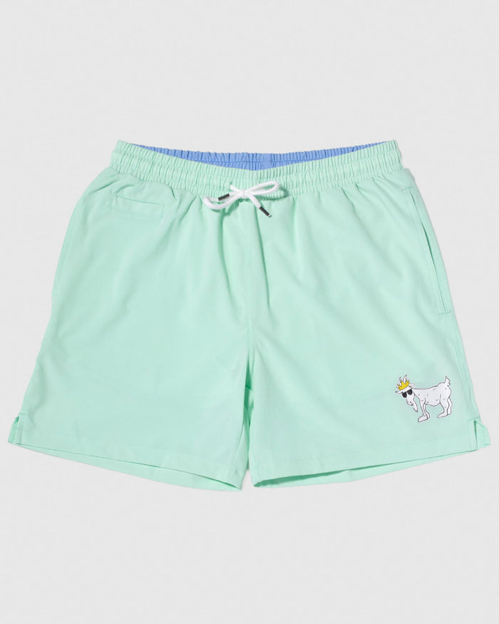Front of mint colored bathing suit