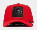 The Panther 100 Snapback Mens Hat (Red/Black)