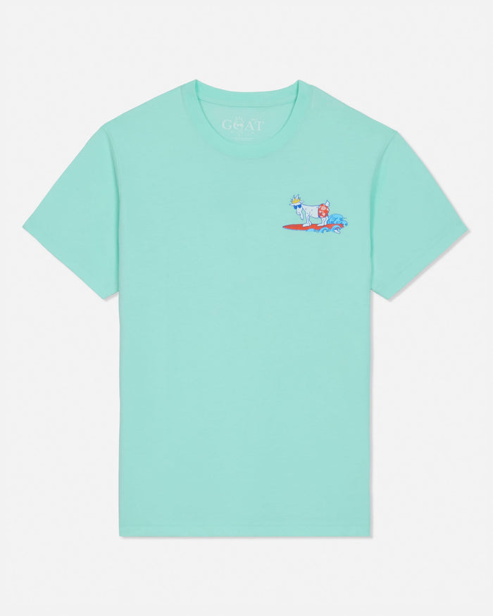 Mint t-shirt with a small graphic on a light gray background