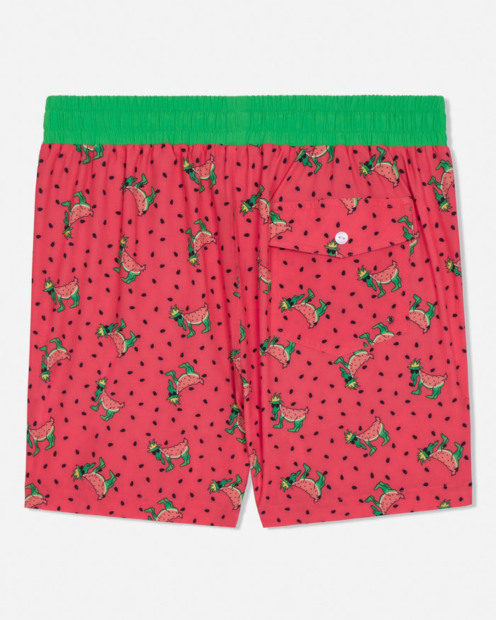 Red bathing suit with green waistband featuring a watermelon pattern on a white background