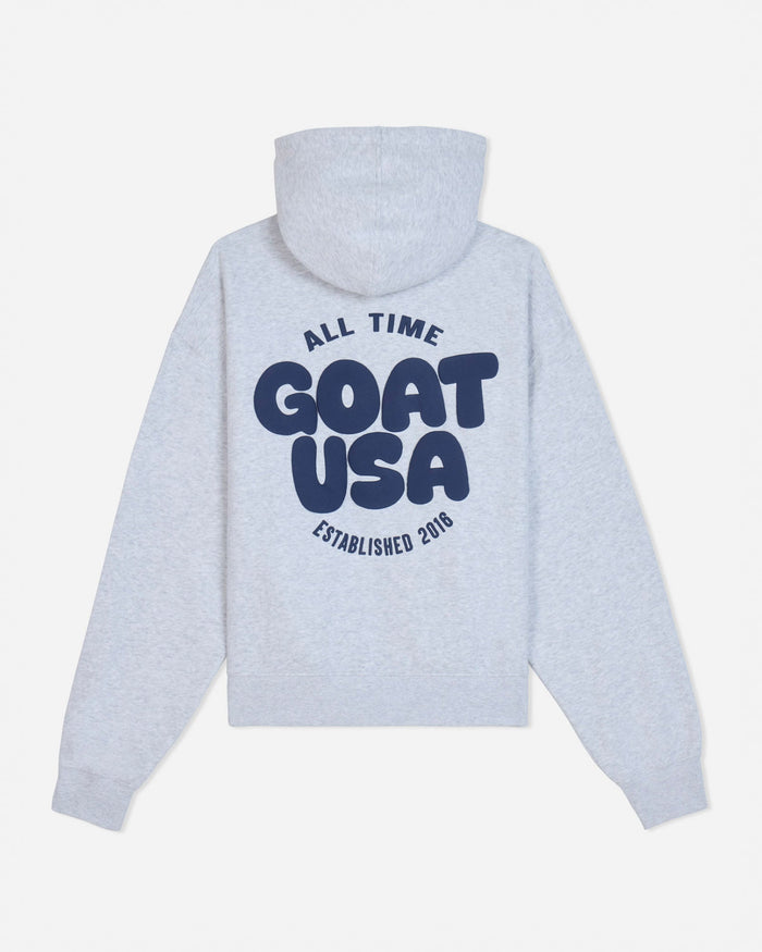 Back of gray hoodie with 'ALL TIME GOAT USA ESTABLISHED 2016' text#color_pale-gray